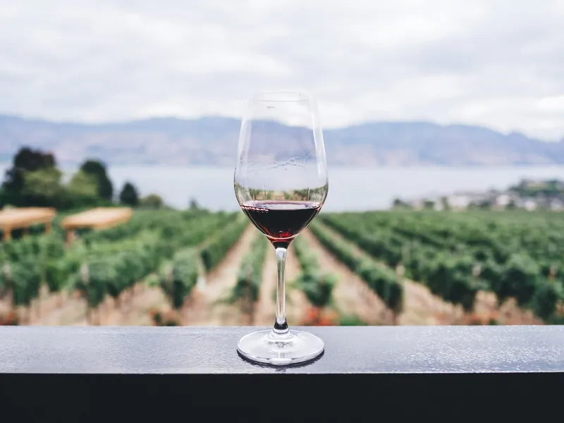 Copa de vino sobre el viñedo